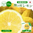 冷蔵発送 【訳訳あり】搾汁用レモン ( 国産 ) ※ 皮の使用には不向きです サイズばら 2.5kg ◆ ノーワックス・防腐剤不使用 愛媛県 大三島 お取り寄せ...