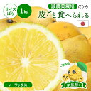 【最大800円OFFクーポン★5/9 20:00〜5/16 1:59】冷蔵発送 皮ごと食べられる 国産レモン(減農薬栽培) 家族想い(家庭用) サイズばら 1k...