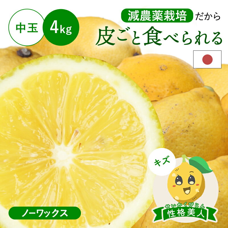 冷蔵発送 皮ごと食べられる 国産レモン(減農薬栽培) 性格美人(キズ) 中玉 ...