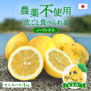 【最大800円OFFクーポン★5/9 20:00〜5/16 1:59】冷蔵発送 送料無料 国産レモン(農薬不使用) 家族想い(家庭用) サイズばら 1kg ◆ ...