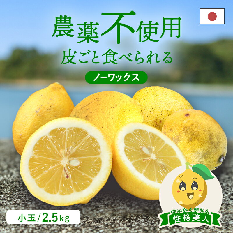 冷蔵発送 送料無料 国産レモン(農薬