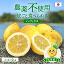 【最大800円OFFクーポン★5/9 20:00〜5/16 1:59】冷蔵発送 送料無料 国産レモン(農薬不使用) 性格美人(キズ) 小玉 4kg ◆ 愛媛県 ...