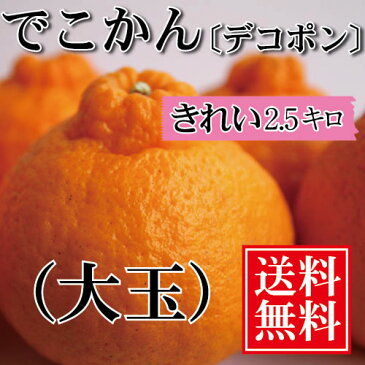 デコポン 贈答用 【送料無料】大玉2.5kg きれい 愛媛県大三島産 でこぽん でこかん みかん デコポン みかん ミカン 蜜柑 愛媛みかん 愛媛ミカン えひめみかん 国産 果物 フルーツ お取り寄せ