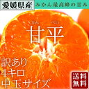 早割予約10%OFF 甘平 送料無料 愛媛県大三島産 かんぺい 中玉4キロ ちょいキズ 訳あり わけあり みかん ミカン 蜜柑 愛媛みかん 愛媛ミカン えひめみかん 国産 果物 フルーツ お取り寄せ ホリ田ヤ