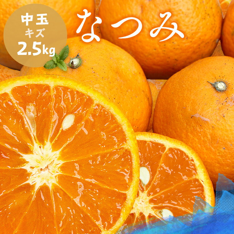 冷蔵発送 送料無料 なつみ 性格美人 ちょいキズ 中玉 2.5kg 愛媛県 大三島 お取り寄せ 国産 みかん 蜜柑 柑橘 愛媛みかん 果物 フルーツ 訳あり わけあり グルメ お中元