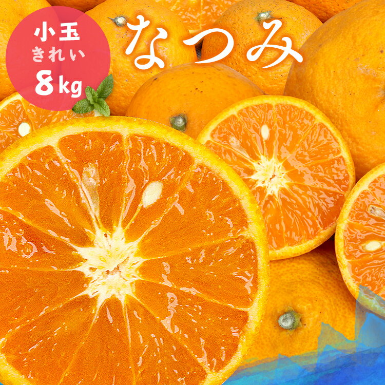 冷蔵発送 送料無料 なつみ きれい 小玉8kg キロ 愛媛県大三島産 みかん 愛媛みかん 柑橘 果物 フルーツ 贈答 贈答用 お土産 ギフト プレゼント ノーワックス 防腐剤不使用〔なつみ〕 お中元のサムネイル