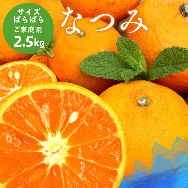 冷蔵発送 送料無料 なつみ 家族想い(家庭用) サイズばら 2.5kg ◆ 愛媛県 大三島 お取り寄せ 国産 みかん 蜜柑 柑橘 愛媛みかん 果物 フルーツ 訳あり わけあり グルメ