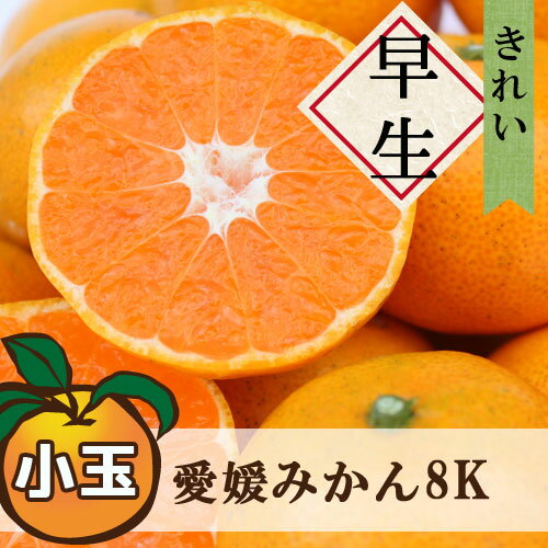 送料無料 早生みかん 大和撫子(きれい) 小玉 8kg ◆ 愛媛県 大三島 お取り寄せ 国産 みかん 愛媛みかん 果物 フルーツ 供物 ギフト 贈答用 プレゼント 贈り物 グルメのサムネイル