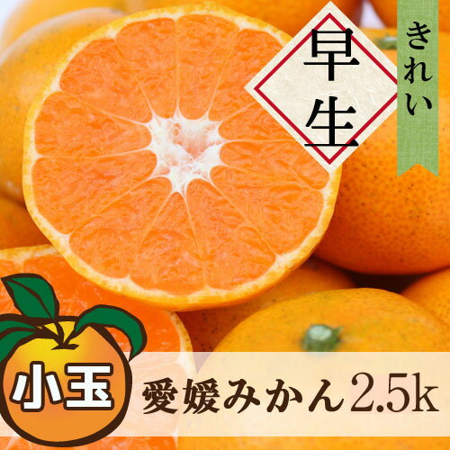 【早割10%OFF★2024月11月下旬以降発送予定】送料無料 早生みかん 大和撫子(きれい) 小玉 2.5kg ◆ 愛媛県 大三島 お取り寄せ 国産 みかん 愛媛みかん 果物 フルーツ 供物 ギフト 贈答用 プレゼント 贈り物 グルメのサムネイル
