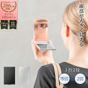 堀内鏡工業 HORIUCHI MIRROR ナピュアミラー 細部が大きく見える 両面角型コンパクトミラー 2倍 / 3倍 ブラック シルバー 拡大鏡 化粧鏡 手...