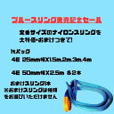 ナイロンスリング 1t 25mm 50mm ベルトスリング 1.5m 2m 3m 4m 2.5m 2本づつ 感謝セール おまけ付 ブルースリング テザック