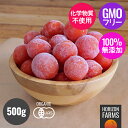有機 JAS オーガニック 冷凍 無添加 ミニトマト 国産 500g 糖度8.5以上 高品質 化学物質不使用 オーガニック野菜 有機野菜 冷凍野菜 BIO ビオ...