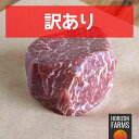 20%OFF セール 5324→4259円 グレインフェッドビーフ 霜降り 冷凍 牛肉 ヒレ ステーキ 訳あり 放牧牛 200gビーフ フィレミニョン グレイン...