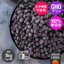 有機 JAS 認証 オーガニック 冷凍 ワイルド ブルーベリー 野生種 1kg x 3 合計3kg スウェーデン産 ヨーロッパ産 BIO ビオ 砂糖不使用 無添加 無糖 冷凍フルーツ スムージー