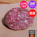 放牧 和牛 ひき肉 牛肉 国産 遺伝子組換え不使用 100g 冷凍 赤身 国産牛 ホルモン剤不使用 抗生物質不使用 ホルモンフリー 最高品質