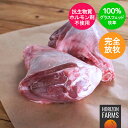 ニュージーランド産 高品質 ラム肉 シャンク すね肉 600g 100% グラスフェッド フリーレンジ 放牧 ホルモン剤不使用 抗生物質不使用