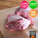 ニュージーランド産 高品質 ラム肉 シャンク すね肉 600g グラスフェッド フリーレン