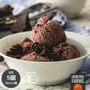 HORIZON FARMS 有機 JAS オーガニック 無添加 ジェラート アイス チョコレート味