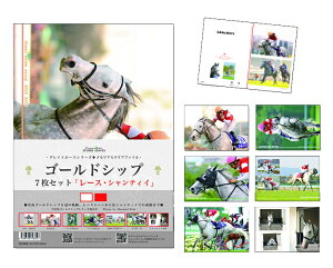 ゴールドシップ号クリアファイル7枚セット●レース●名馬ゴールドシップの魅力たっぷりなクリアファイル7枚セットstudio leavs六冠の軌跡 皐月賞、菊花賞からシャンティイでの素顔も