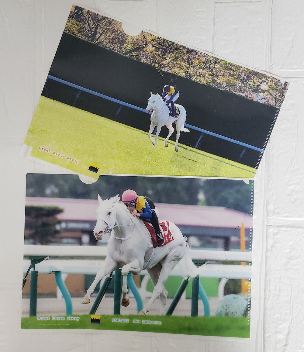 白毛の競走馬ソダシ号クリアファイル2枚セット桜花賞+2021年札幌記念studio leavs　競走馬G