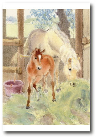 水沢潔 ポストカード〜好奇心〜1枚売り　馬のポストカード