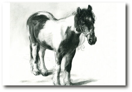 水沢潔 ポストカード〜グレースちゃん・夢を乗せて〜1枚売り　馬のポストカード