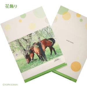 木曽馬のクリアファイル『花飾り』A5サイズKISO HORSE clearfile clearholder日本在来馬「木曽馬」馬のクリアファイル写真家　大岩友理