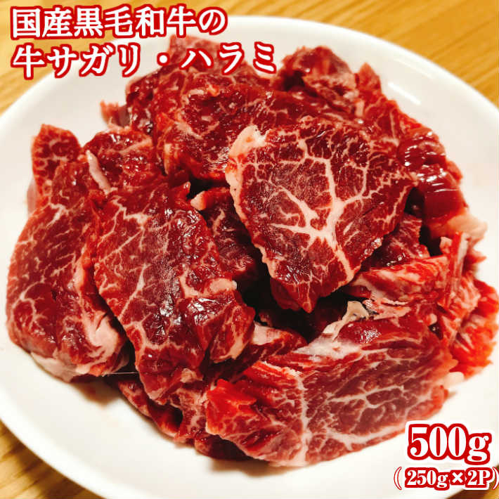 【九州産 】牛サガリ・ハラミ 500g(250g×2袋)【国産牛 牛サガリ 牛ハラミ 牛 サガリ ハラミ 赤身 焼肉 焼き肉 バーベキュー 冷凍 国産 贈り物 ギフト プレゼント】