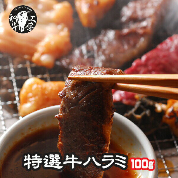 ハラミ 肉 ホルモン 特選 牛ハラミ トップチョイスランク 100g お試し 【ハラミ100】