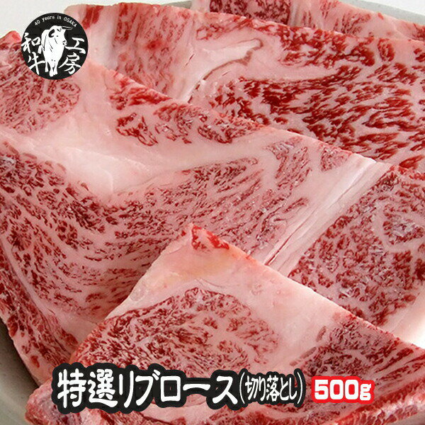 父の日 お中元 焼肉 ロース 肉 ホルモン 鹿児島県産 黒毛和牛 特選 リブロース 切り落とし 500g訳あり ..