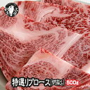 ロース ホルモン BBQ 焼肉 鹿児島県産 黒毛和牛 特選 リブロース 切り落とし 500g訳あり カット厚切 ブロック肉 ギフト 【切り500】