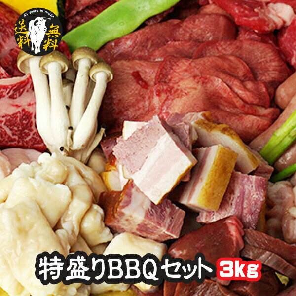 肉 ホルモン バーベキュー セット 10人前 特盛 計3キロ 焼肉セット 宮崎牛 カルビ 