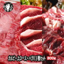 ハラミ ロース カルビ BBQ 焼肉 ホルモン セット 焼肉三種 九州産黒毛和牛A4 カルビ と 上ロース と 特選牛ハラミ の焼肉セット 各100g 計300g お試し 【3種肉】