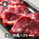 【 人気雑誌掲載商品 バーベキュー シーズンで今売れてます 超高級 焼肉 店のプレミア メニュー 焼肉屋 さんなら約4人前 超希少品 】