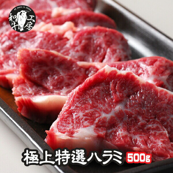 ハラミ 肉 ホルモン 鹿児島県産 A5 ランク 黒毛和牛 極上特選 ハラミ 500g 秘伝塩こしょう付き ギフト 【特ハラ500】