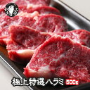 焼肉 肉 タレ漬け 柔らか ハラミ メガ盛り 500g 冷凍 簡単 時短 在宅応援