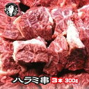 ホルモン 専門卸店の 特上 ハラミ サガリ 肉厚串 3本 味付けなし 300g バーベキューセット バーベキュー 肉 セット BBQ bbq 焼肉 父の日 お中元 お歳暮 はらみ 牛ハラミ 串 串焼き 【bbq 串】【バーベキュー 串】