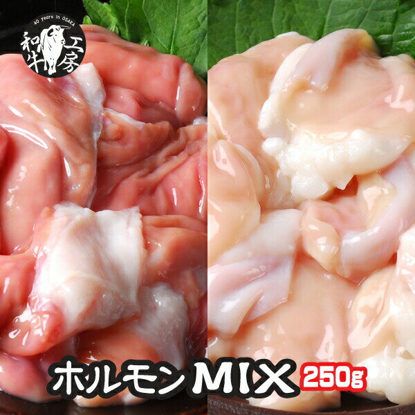 肉 ホルモン 鍋 九州産黒毛 和牛ホルモン MIX 250g 小腸 赤センマイ 味付けなし 