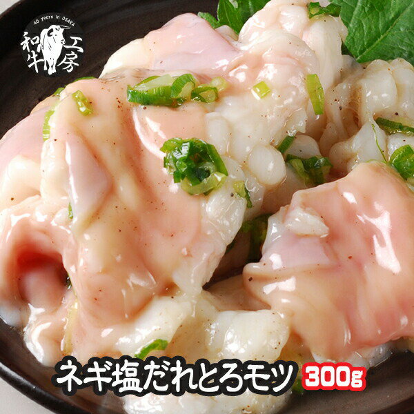 ホルモン もつ BBQ 焼肉 宮崎県産 黒毛和牛 小腸 ネギ塩だれ味付き 100g×3パック 計300g 味付け 【ねぎ小300】