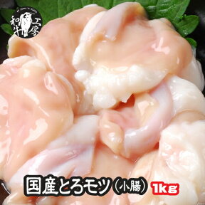 小腸 肉 ホルモン 鍋 宮崎県産 黒毛和牛 小腸 200g×5パック 計 1kg ホルモン 大トロ もつ煮 どて煮