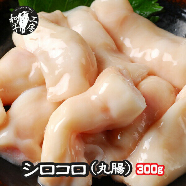 丸腸 肉 ホルモン 宮崎県産 黒毛和牛 マルモツ 丸腸 100g×3パック 計300g シロコロホルモン もつ煮 どて煮