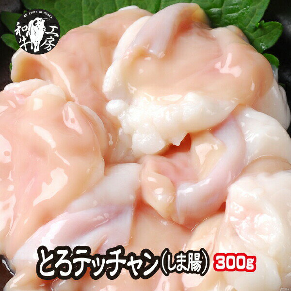 【 5/18-20限定　30％OFF★ 】しま腸 肉 ホルモン 鍋 A5 宮崎県産 黒毛和牛 テッチャン しま腸 300g (100g×3）もつ煮 …