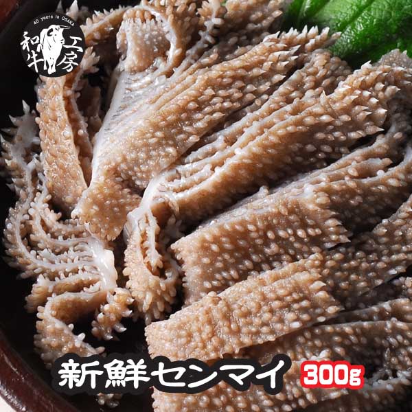 センマイ 肉 ホルモン A5 宮崎県産 黒毛和牛 新鮮 センマイ 300g ( 100g × 3 ）もつ煮 どて煮 【センマイ300】