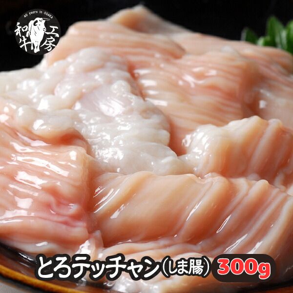 しま腸 テッチャン てっちゃん ホルモン BBQ 焼肉 焼き肉 鍋 A5 宮崎県産 黒毛和牛 国産 和牛 しま腸 300g (100g×3)もつ煮 【しま300】