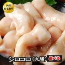 選べる ホルモン もつ BBQ 焼肉 焼き肉 鍋 A5 宮崎県産 黒毛和牛 国産 和牛 希少 丸腸 シロコロホルモン 大とろ マルモツ テチャン【丸腸】