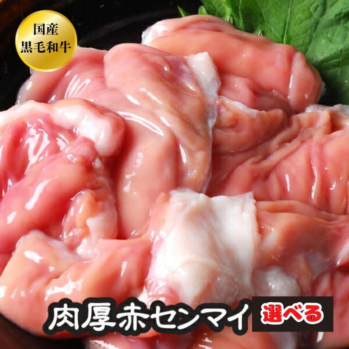 選べる センマイ ホルモン BBQ 焼肉 焼き肉 鍋 A5 宮崎県産 国産 和牛 黒毛和牛 肉厚 赤センマイ ギアラ もつ鍋 モツ鍋 もつ 牛モツ 牛..