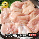 選べる ホルモン BBQ 焼肉 焼き肉 鍋 A5 宮崎県産 国産 和牛 黒毛和牛 プリモツ 盲腸 もう腸【盲腸】