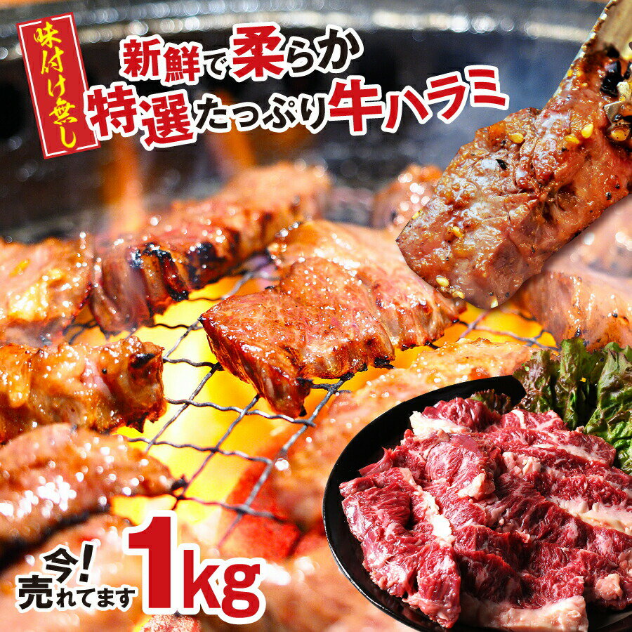 はらみ 肉 特選 上ハラミ サガリ 200g 5パック 計 1kg 米国産 【ハラミ1kg】