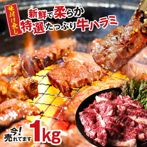 はらみ 肉 特選 上ハラミ サガリ 200g×5パック 計 1kg 米国産