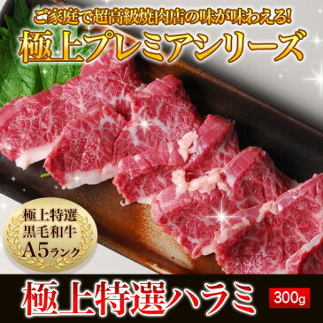 超プレミア限定品 鹿児島産 A5 最高ランク 鹿児島黒牛 極上 特選 ハラミ 300g 塩こしょう付 バーベキューセット バーベキュー 肉 セット BBQ bbq ギフト お歳暮 ハラミ 和牛ハラミ もつ鍋 焼き肉 焼肉 出産祝い 内祝い 結婚祝い 和牛 肉 牛肉 クリスマス